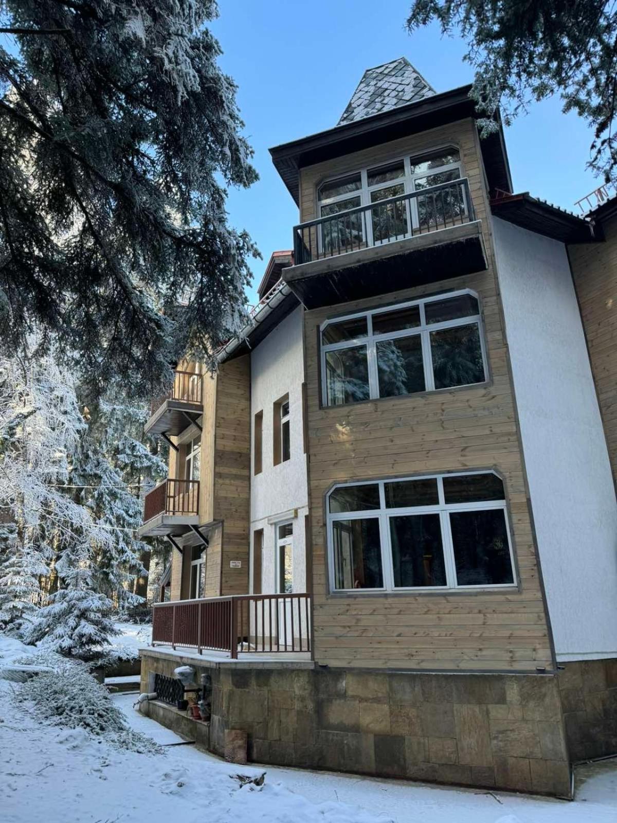 The Forest Villa Borovets Eksteriør bilde