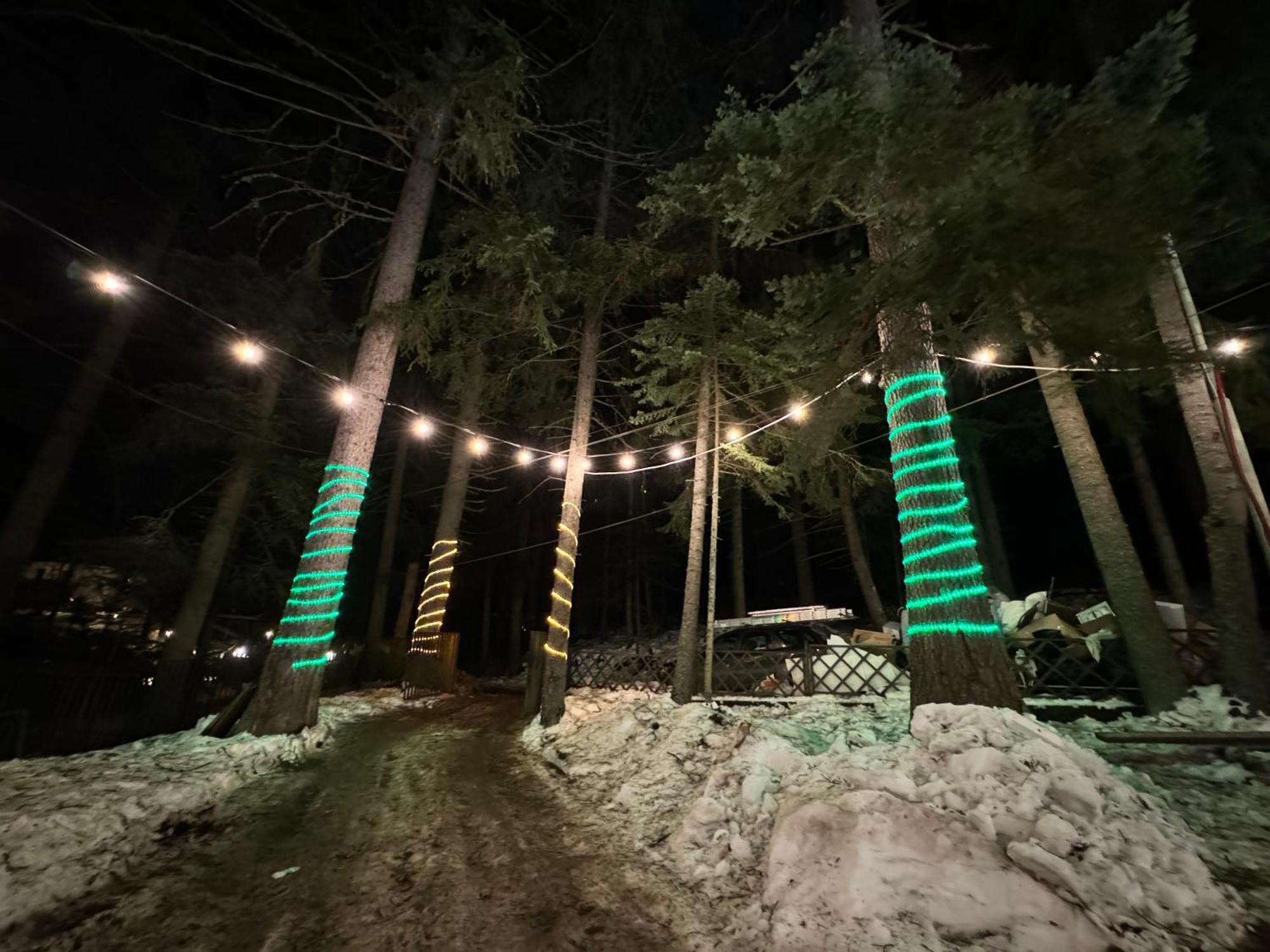 The Forest Villa Borovets Eksteriør bilde