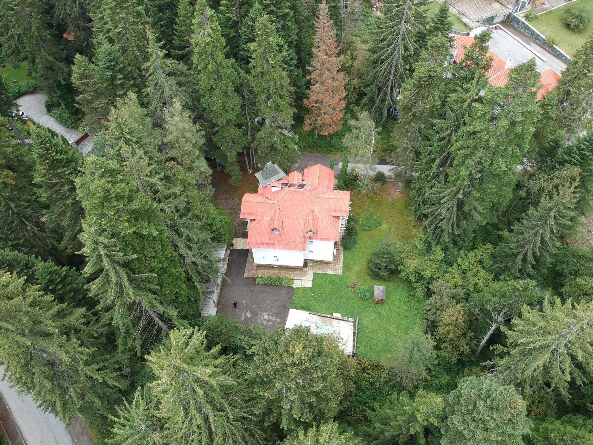 The Forest Villa Borovets Eksteriør bilde