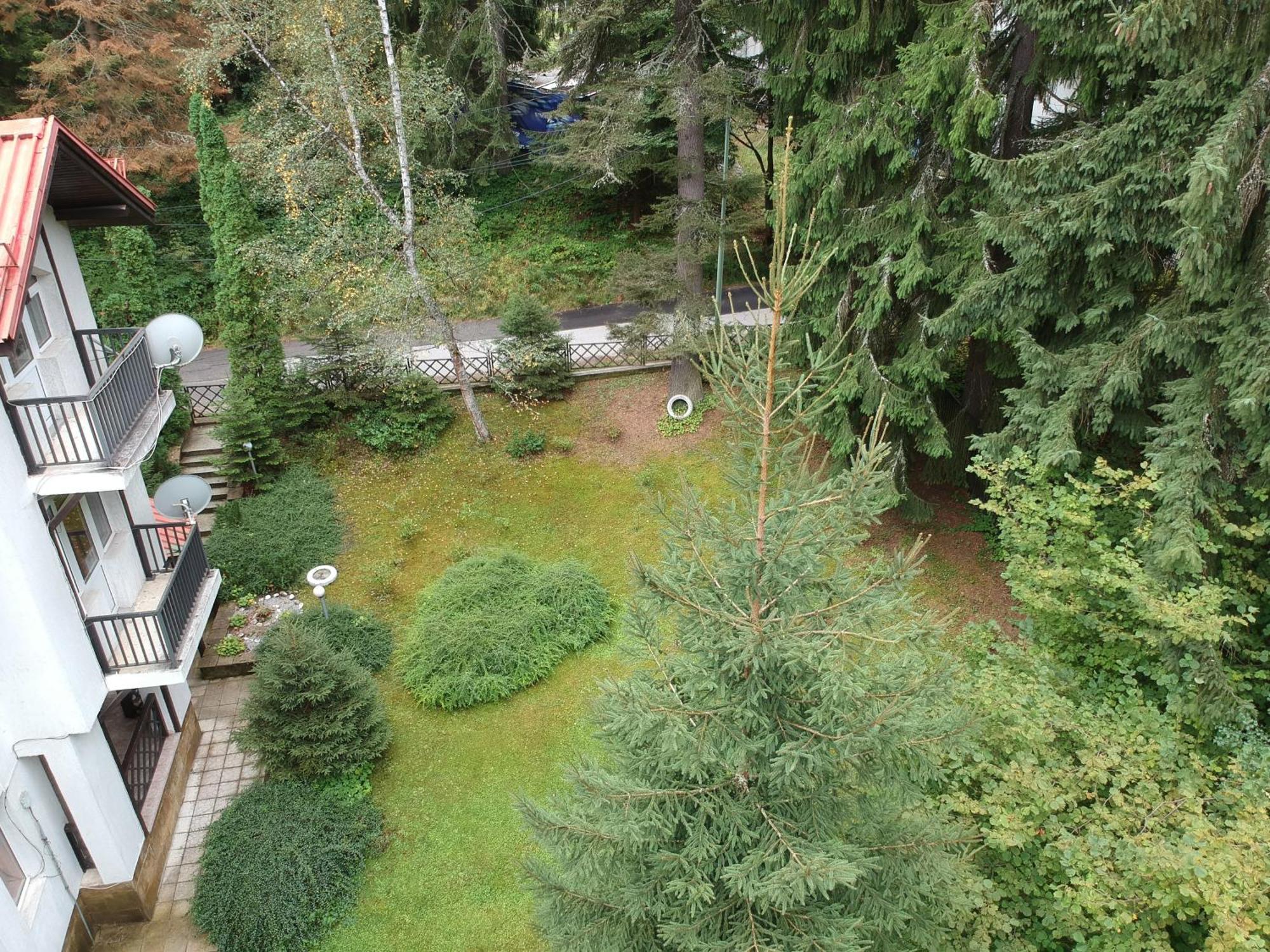 The Forest Villa Borovets Eksteriør bilde