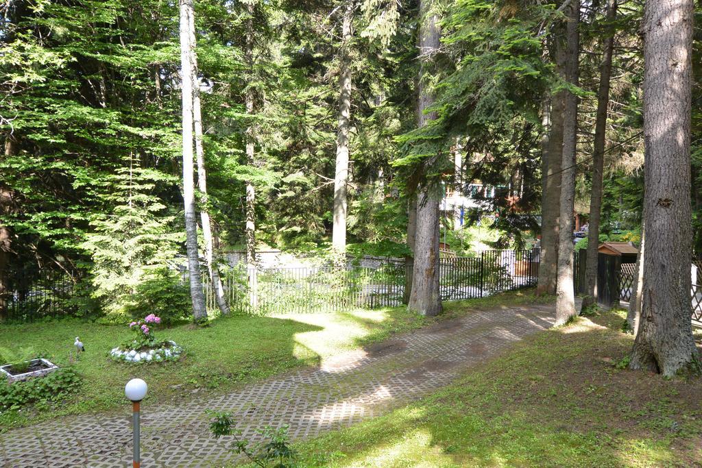 The Forest Villa Borovets Eksteriør bilde